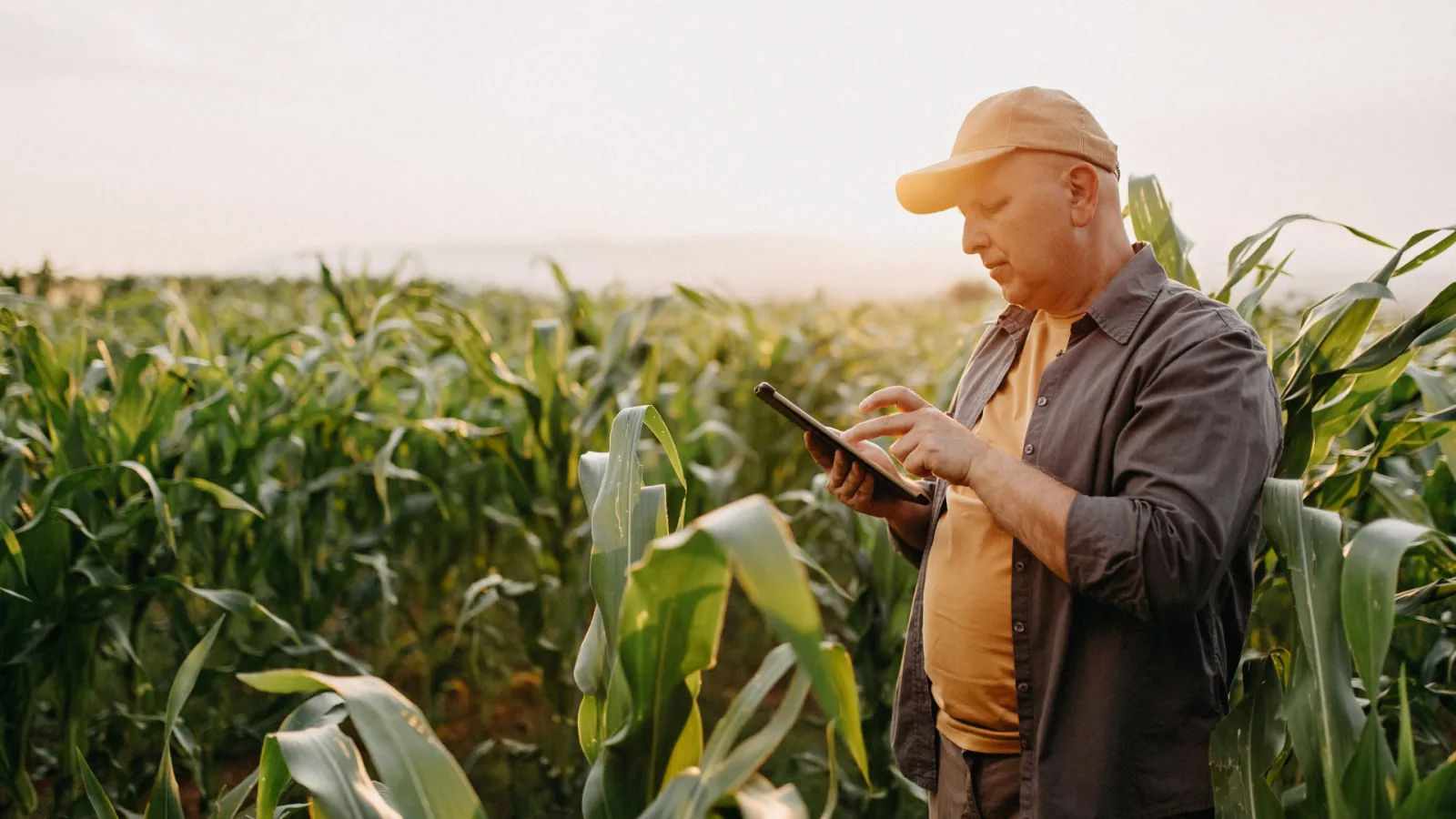 Мобільний додаток для агрономів та обліковців